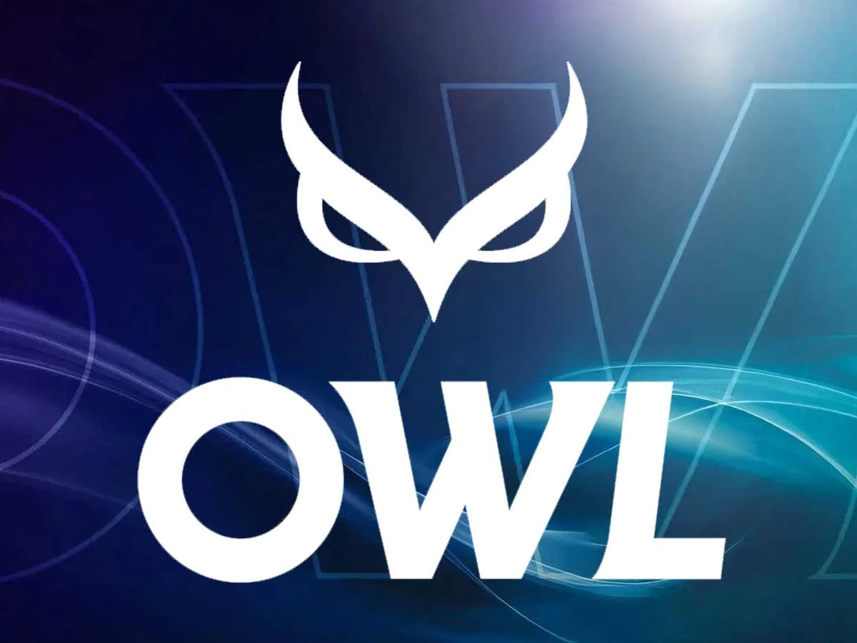 Owl Pickleball